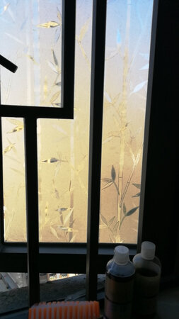 适用场景：洗手间
产品气味：无气味
其他特色：带花纹你，看着不错
大小尺寸：自行裁剪