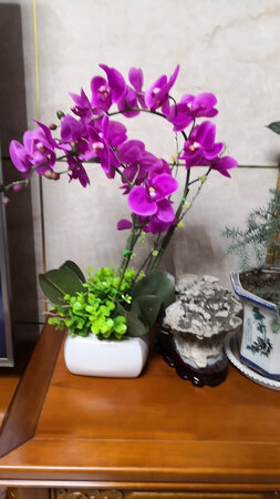 质量挺好，很满意。