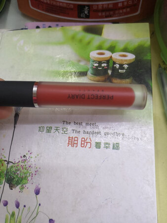 口红颜色很正易涂抹易上色嘴唇