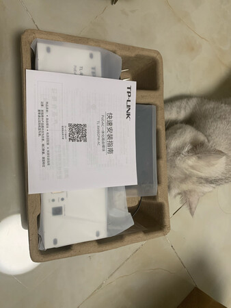 大品牌，值得信赖！装修房子备货中，不过我已经先在家里试验了一下，相当不错！设置简单，传输速率很快，不愧是大品牌！有线路由器的极品，还不用布电源线，稳定性也不错！外型也蛮时尚的，放在弱电箱里很好！希望我的建议能给大家带来一个网购的好体验！