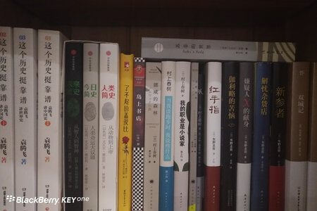 双11采购中，活动加优惠券超级划算，书是正版，品质相当好。