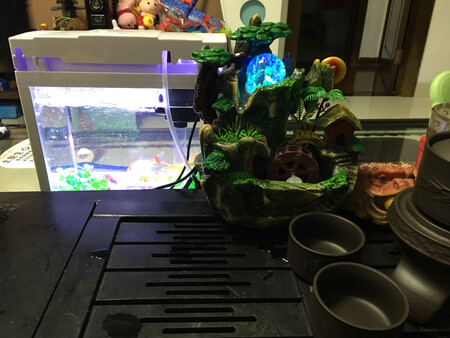 不错，喝茶都有情调了，可以下手买个玩