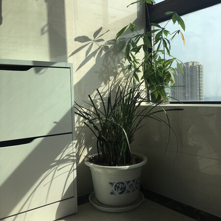 还可以，希望越来越好，哈哈哈哈
