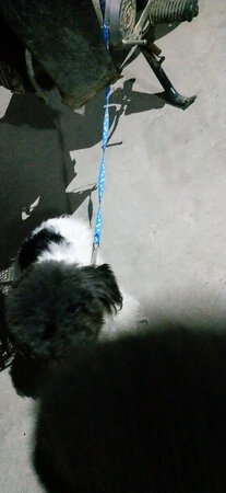 要求不高的可以买 简直是糊弄人啊