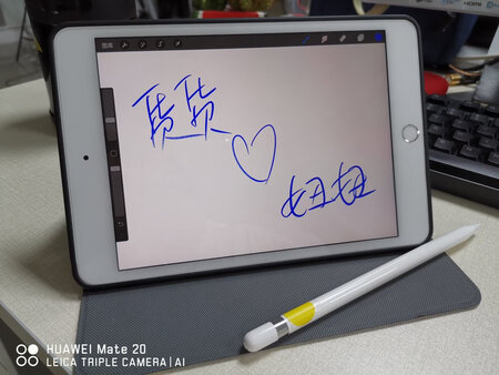 这支笔很精巧，而且确实可以作为生产力工具来使用！我主要拿来记笔记，看pdf，逼格满满，而且不用在带各种纸各种本。不足就是网上吐槽很多的设计，充电等等，不过难免，就暂时接受吧。摔了一下，还好没有断，但是吓坏了而且很心疼，准备入手保护套，但是发现apple pencil周边的东西都很贵，刚买了保护套，静静等待吧。。一个磁吸保护套70，心在滴血，，，，不说了我饿了要去吃土了。。。。。