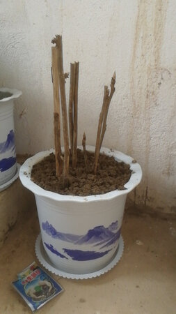 质量挺好，很满意。