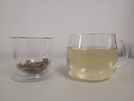 在富光买了很多杯子了~信赖品牌的力量！全身透明，包含盖子、茶隔和杯体，杯体还是比较厚实，但是接开水杯壁还是会有点烫手，所以建议接开水的话就握紧把手，要么拿个小盘子托一下。茶隔真的很实用耶，茶叶都能过滤掉，再也不用一遍喝茶一遍吐茶叶了。一次买了两件，很划算。第一次运输碎了一件，申请售后之后马上给补发了，京东物流真的很快，第二天就收到啦。完全没有影响使用。