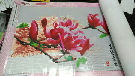第一次买钻石画，刚试了下手，感觉良好，完成后一定很漂亮。