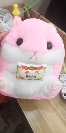 不知道怎么样   不过女朋友很喜欢  客服态度也不错  很有耐心的回答问题     好评