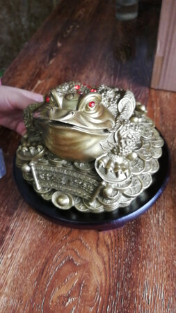 买了一对金蝉收到挺好的铜色挺好看的给力