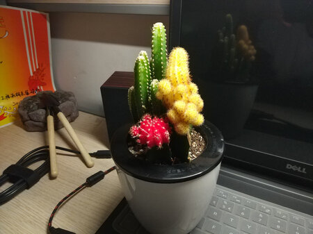 物超所值 特别喜欢