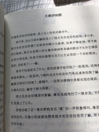 孩子喜欢看动物小说，有趣生动，学会观察！