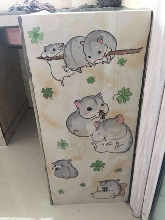 满意，颜色很好看