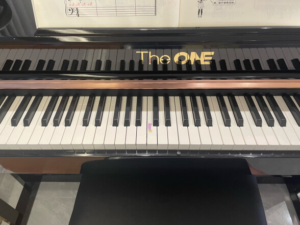 壹枱（The ONE）智能电钢琴SE 88键重锤数码电子钢琴 儿童初学成人考级 烤漆版 晒单实拍图