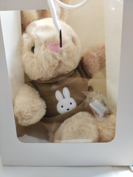 莂来可爱小兔子公仔抱枕玩偶安抚玩具布娃娃兔年吉祥物LL9 米色毛衣（米兔） 40cm 晒单实拍图