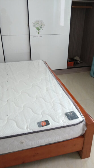 喜临门 3D椰棕床垫 邦尼尔弹簧床垫 抑菌防螨床垫 极光白2S 1.8x2米 晒单实拍图