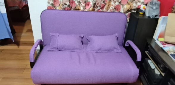 立太（LEADTEK） 沙发床现代两用折叠单人沙发双人多功能租房小户型简易布艺沙发 玫瑰红色190X120cm【两个抱枕】 晒单实拍图