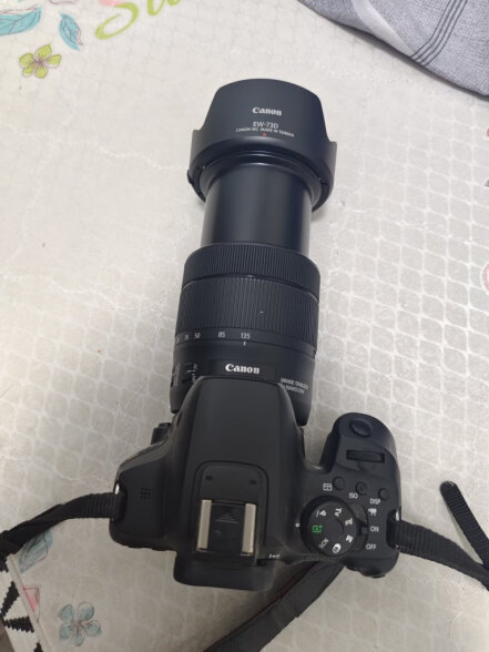 佳能（CANON） 标准变焦镜头 佳能单反相机镜头 EF-S 18-135mm IS USM 晒单实拍图