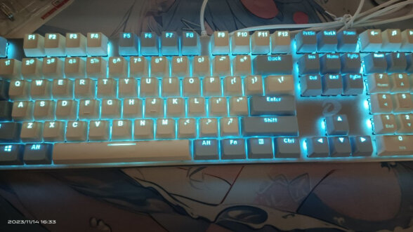 达尔优（dareu）EK815机械合金版 机械键盘 有线键盘 游戏键盘 108键单光 男生女生 电脑键盘  白色蓝色 青轴 晒单实拍图