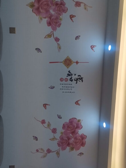 吉朵芸电视背景墙贴画壁画客厅沙发卧室墙面装饰品自粘墙纸贴出租屋改造 经典富贵花 超大 晒单实拍图