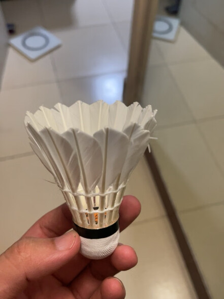 亚狮龙羽毛球7号排行榜 - 十大品牌最好