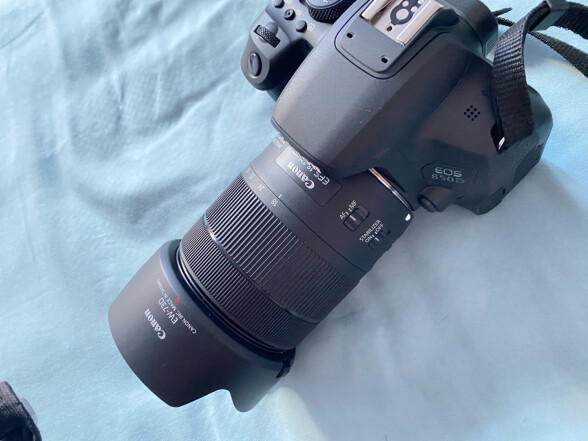 佳能（Canon） 佳能18-135镜头usm 超声波静音拆机头 EF-S 18-135+佳能遮光罩 标配拆机头 晒单实拍图