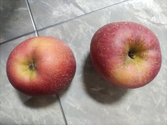 华味仙新疆阿克苏冰糖心红富士丑苹果新鲜水果时令节日礼盒送礼 5斤单果（80-85mm） 晒单实拍图