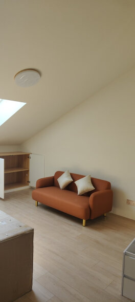 墨素 北欧小沙发科技布防水小户型公寓简约沙发免洗轻奢沙发茶几组合 橘红色双人位（160cm） 晒单实拍图