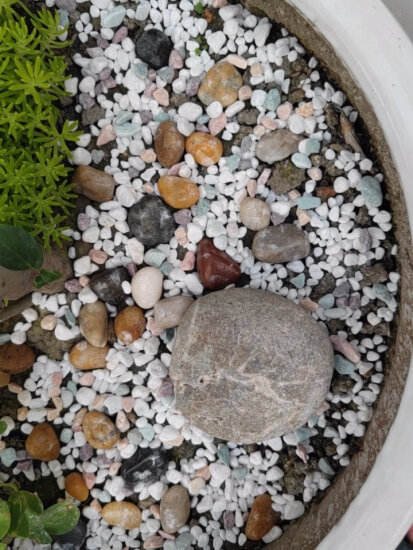 盛世泰堡 鹅卵石雨花石鱼缸花盆装饰天然小石子庭院铺地铺路园艺石头2.5kg 实拍图