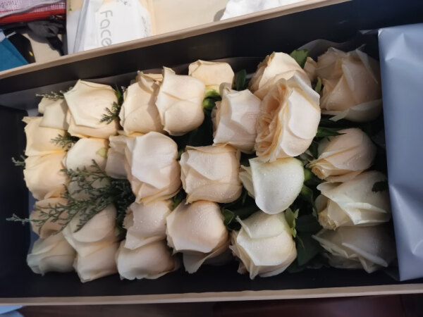 热带之恋RDZLLOVE七夕情人节鲜花速递同城配送33朵红玫瑰花束表白求婚女友生日礼物 33朵香槟玫瑰礼盒 实拍图