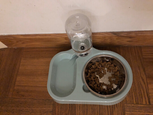 猫碗狗碗