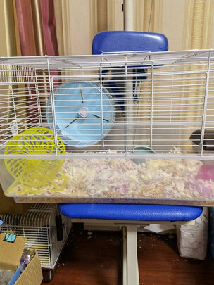 仓鼠木屑