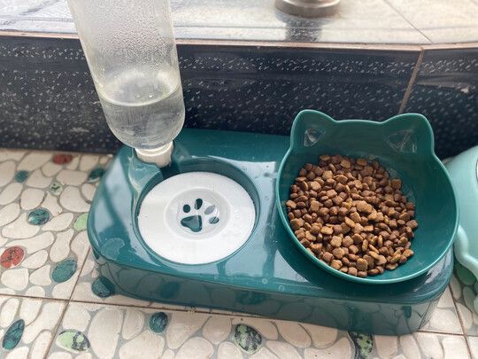 猫碗狗碗