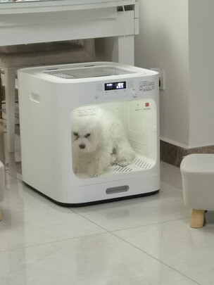 宠物烘干箱
