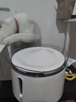 宠物饮水机