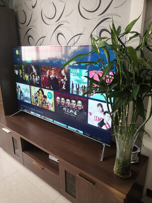 长虹65D5S电视怎么样？试问下长虹65D5S电视哪个好呀？