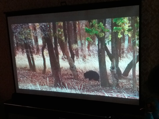 得力50445投影仪幕布投影幕布|得力50445投影仪幕布投影幕布到底怎么样，参数如何！