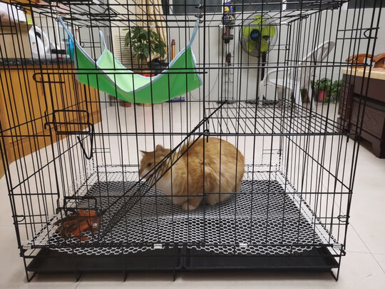  猫笼