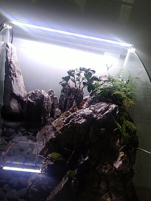 鱼缸灯led灯