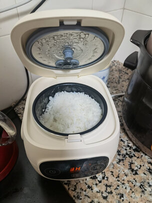 %title插图%num 美的(Midea)智能电饭煲电饭锅1-2人迷你小容量2L触摸操控宿舍一键柴火饭多功能蒸煮米饭锅FB20Easy116