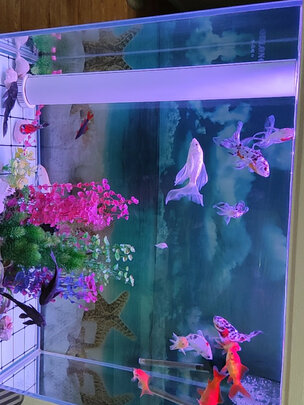 鱼缸净水剂