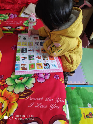 新入坑小白吐槽网易有道翻译王2.0pro评测性能