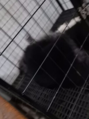 狗狗嘴套