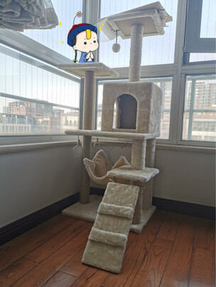 猫爬架