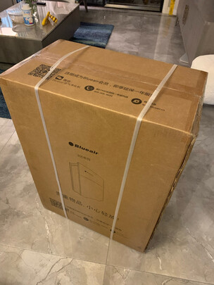 布鲁雅尔380iF空气净化器好还是差？用后谈谈看法