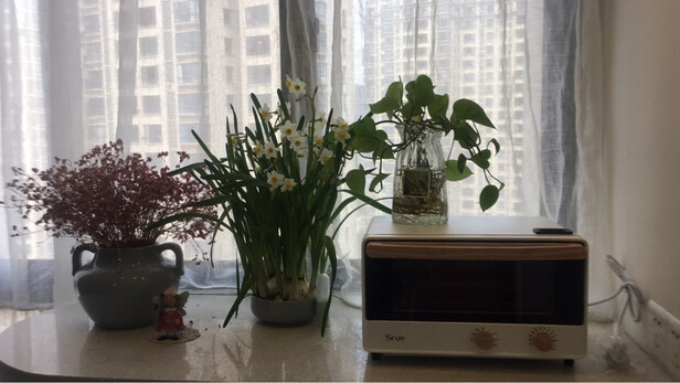 SRUESTMS-361A蒸烤箱|用户揭秘SRUESTMS-361A蒸烤箱好吗,入手解密评测真相