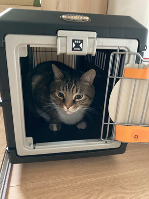 宠物航空箱