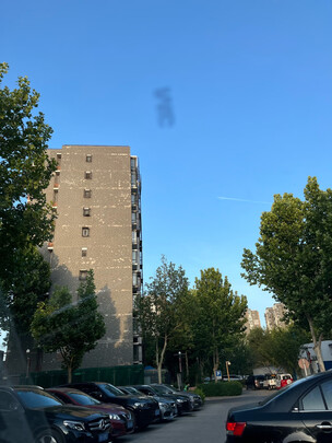 汽车贴膜