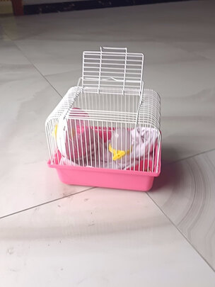 仓鼠水壶