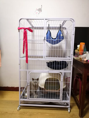  猫笼